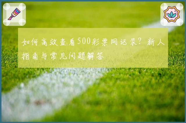 如何高效查看500彩票网记录？新人指南与常见问题解答