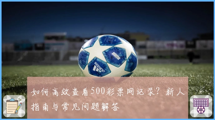 如何高效查看500彩票网记录？新人指南与常见问题解答